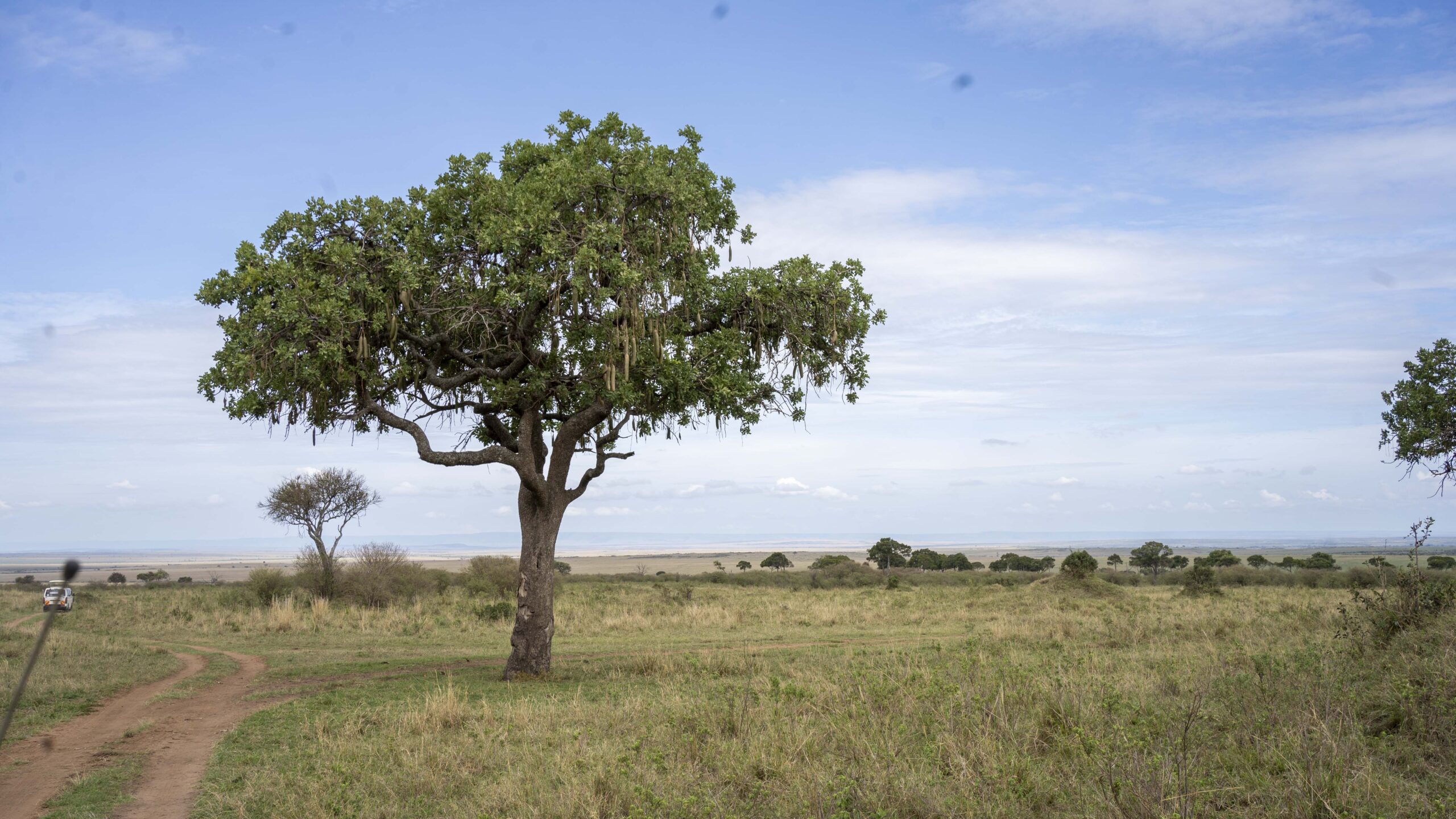 A StepbyStep Guide For The Best Camera Settings For Outdoor Photography